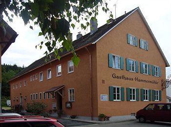 Landgasthof-Hotel Hammermuehle Донауштауф Экстерьер фото